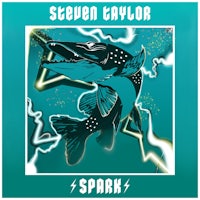 steven taylor - spark cover art